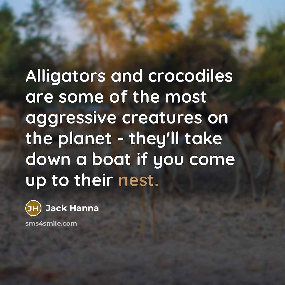 “Alligators and crocodiles are some of the most aggressive creatures…” quote by Jack Hanna