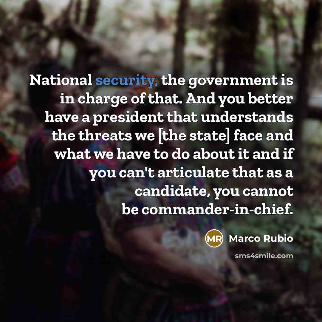 “National security, the government is in charge of that. And…” quote by Marco Rubio