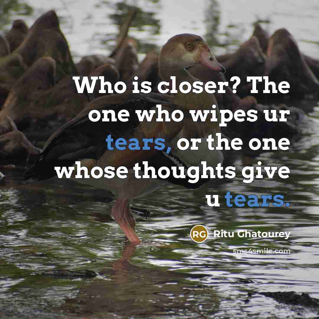 “Who is closer? The one who wipes ur tears, or…” quote by Ritu Ghatourey