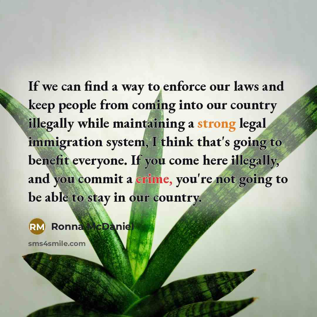 “If we can find a way to enforce our laws…” quote by Ronna McDaniel