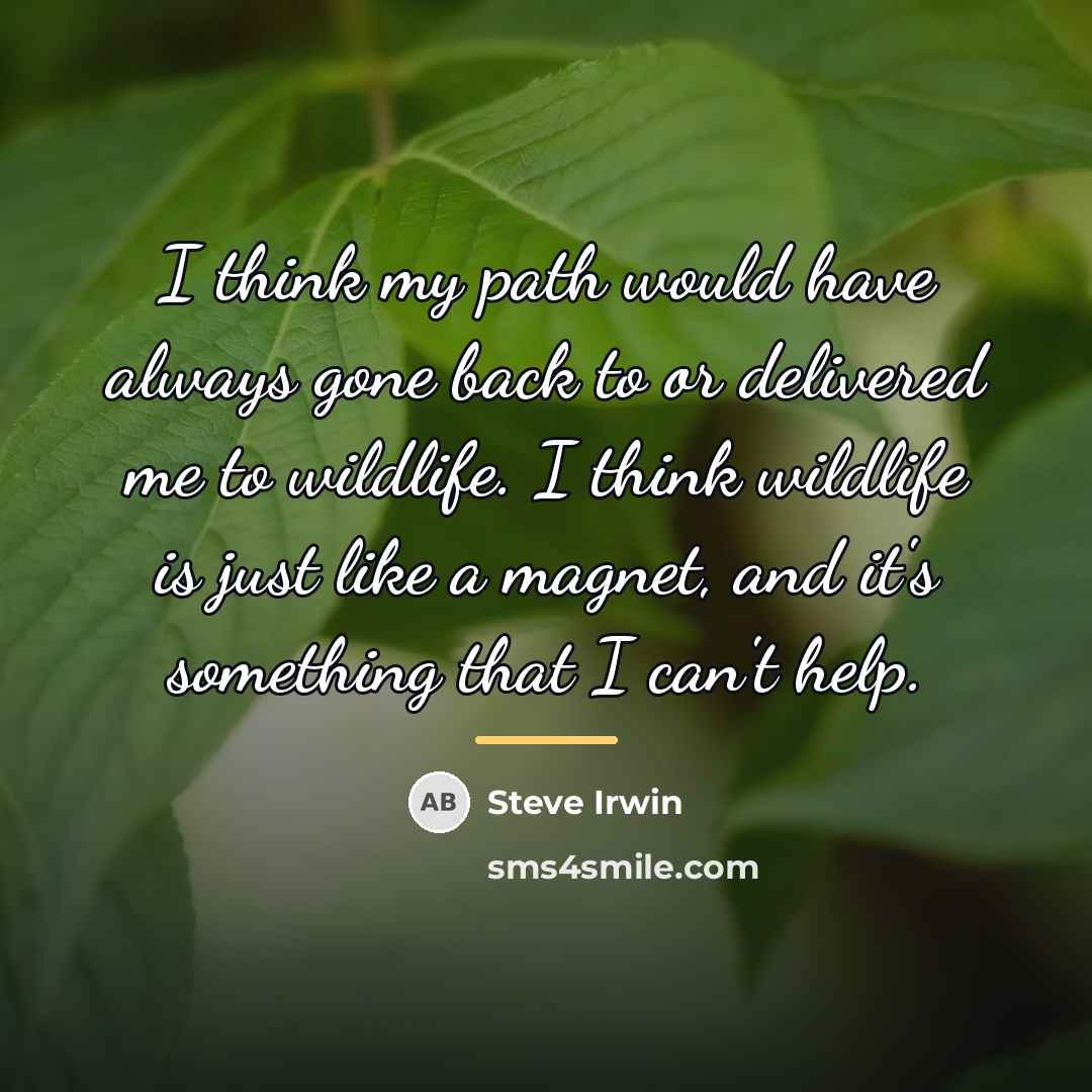 “I think my path would have always gone back to…” quote by Steve Irwin