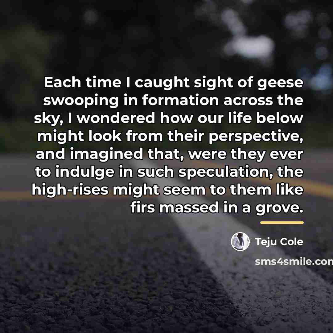 “Each time I caught sight of geese swooping in formation…” quote by Teju Cole