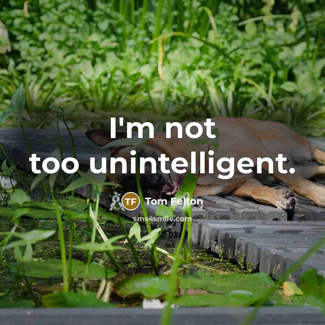 “I'm not too unintelligent.…” quote by Tom Felton