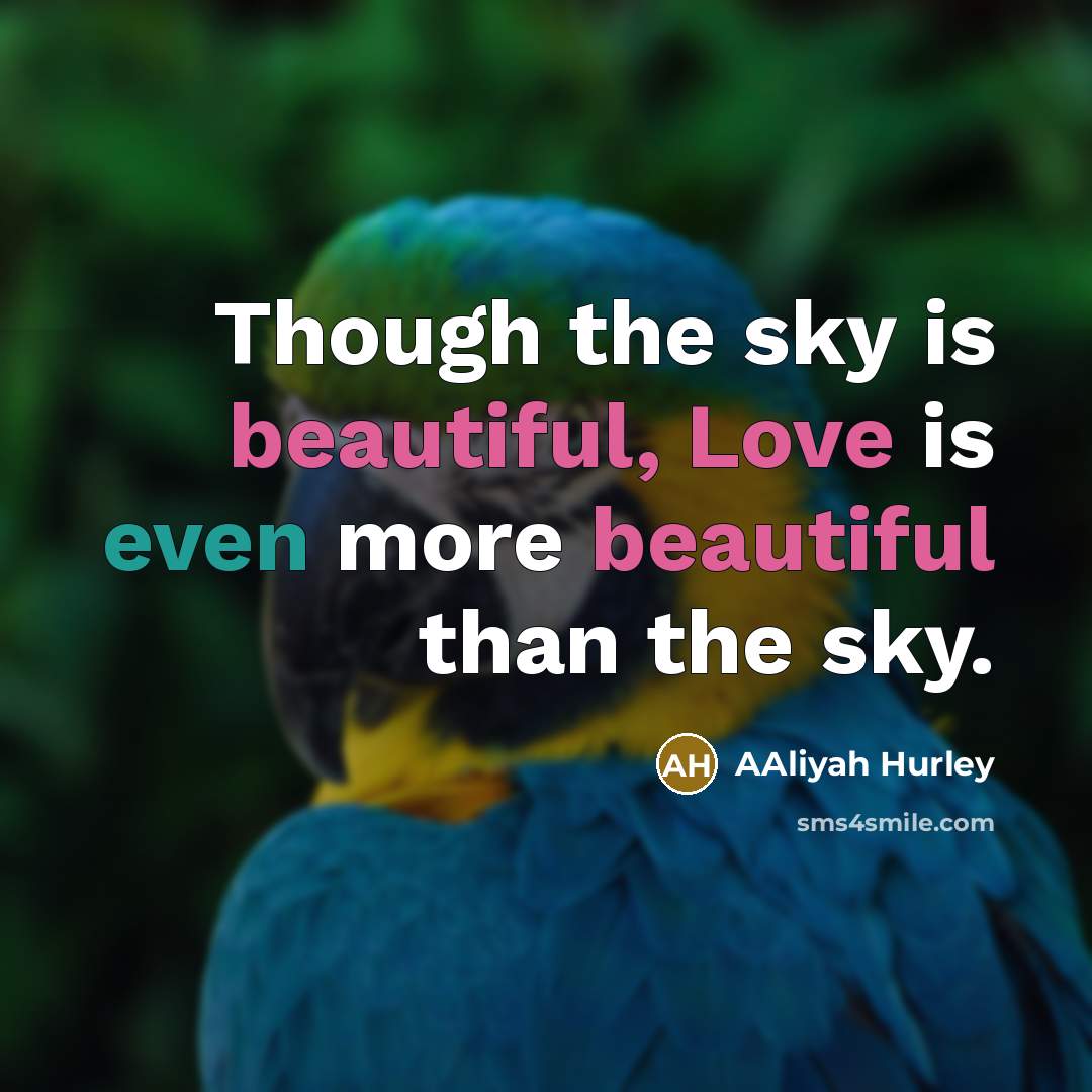 “Though the sky is beautiful, Love is even more beautiful than the sky.” quote by Aaliyah Hurley