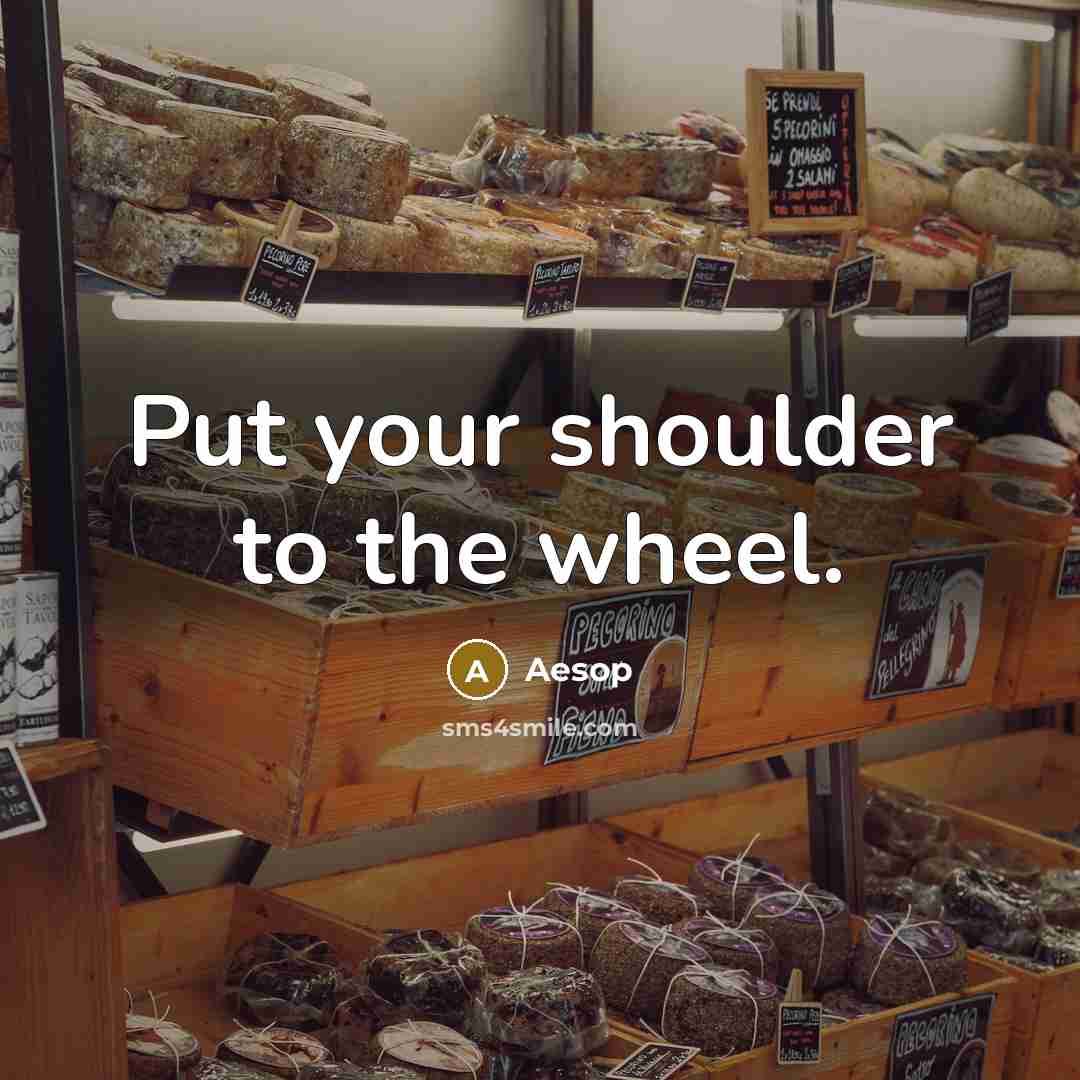“Put your shoulder to the wheel.…” quote by Aesop