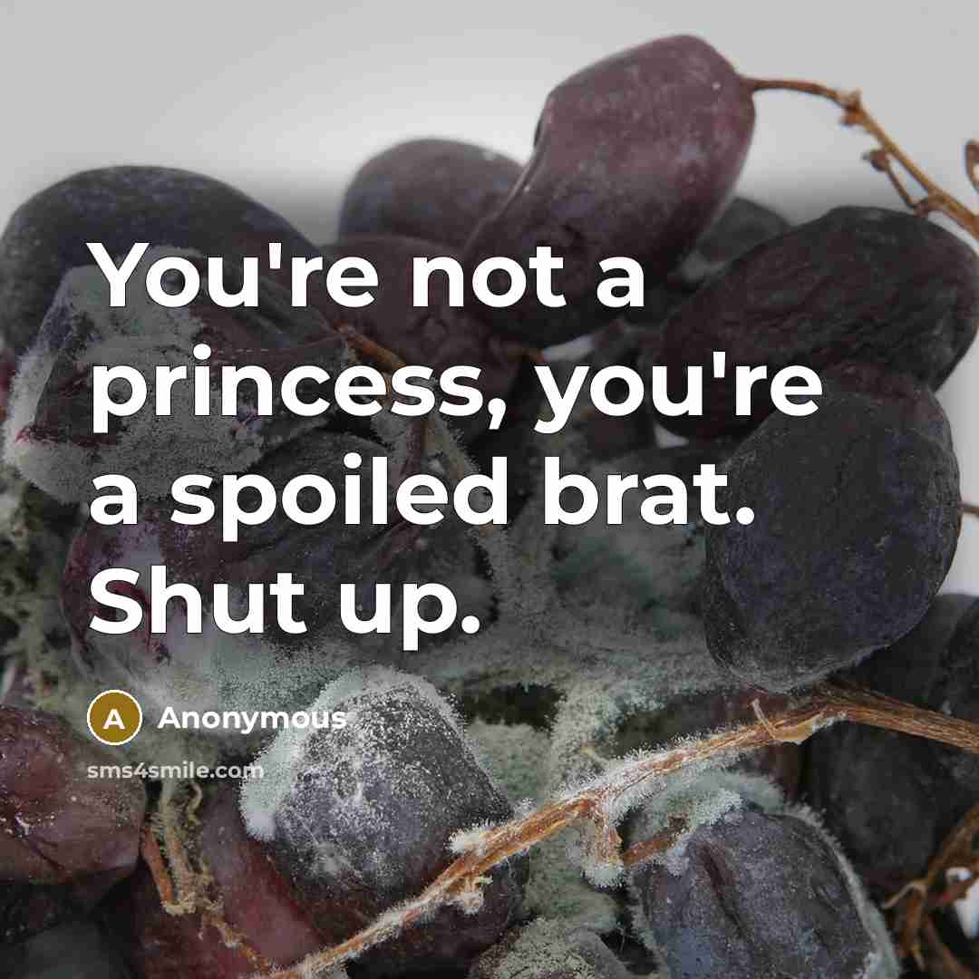 “You're not a princess, you're a spoiled brat. Shut up.” quote by Anonymous