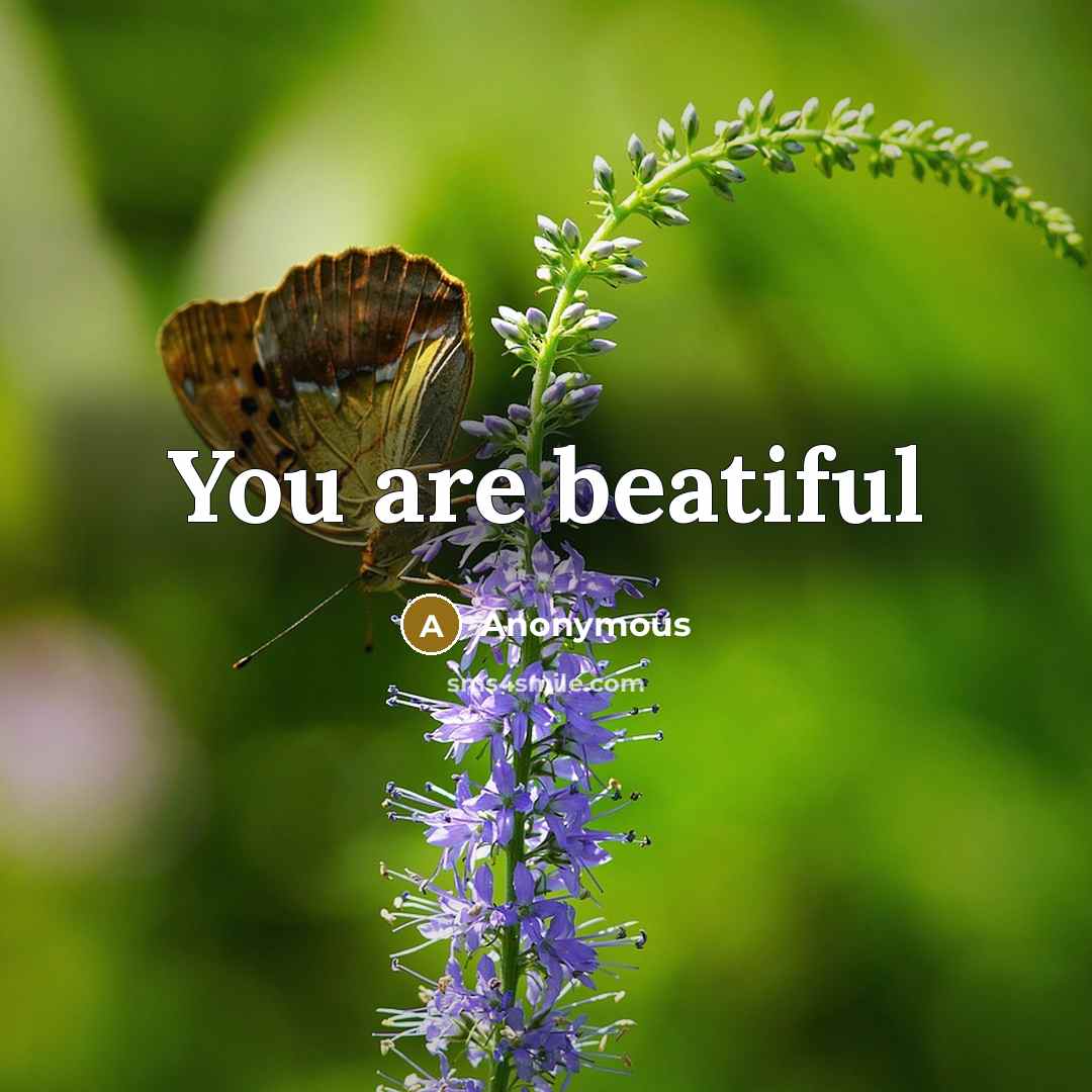 “You are beatiful” quote by Anonymous