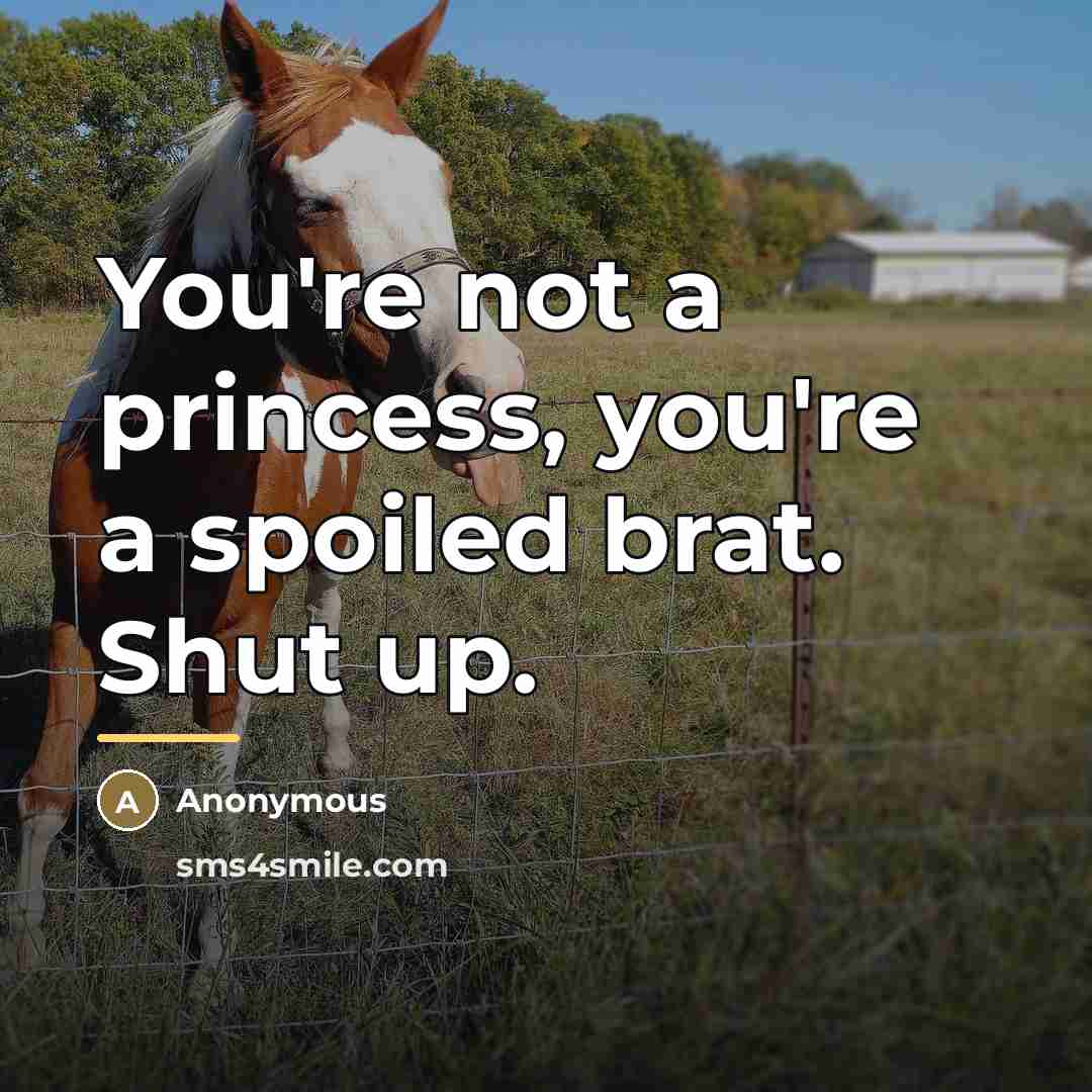 “You're not a princess, you're a spoiled brat. Shut up.…” quote by Anonymous