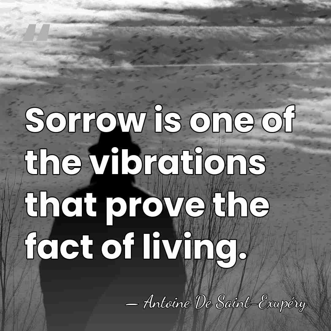 Sorrow is one of the vibrations that prove the fact of living. - Antoine de Saint-Exupery