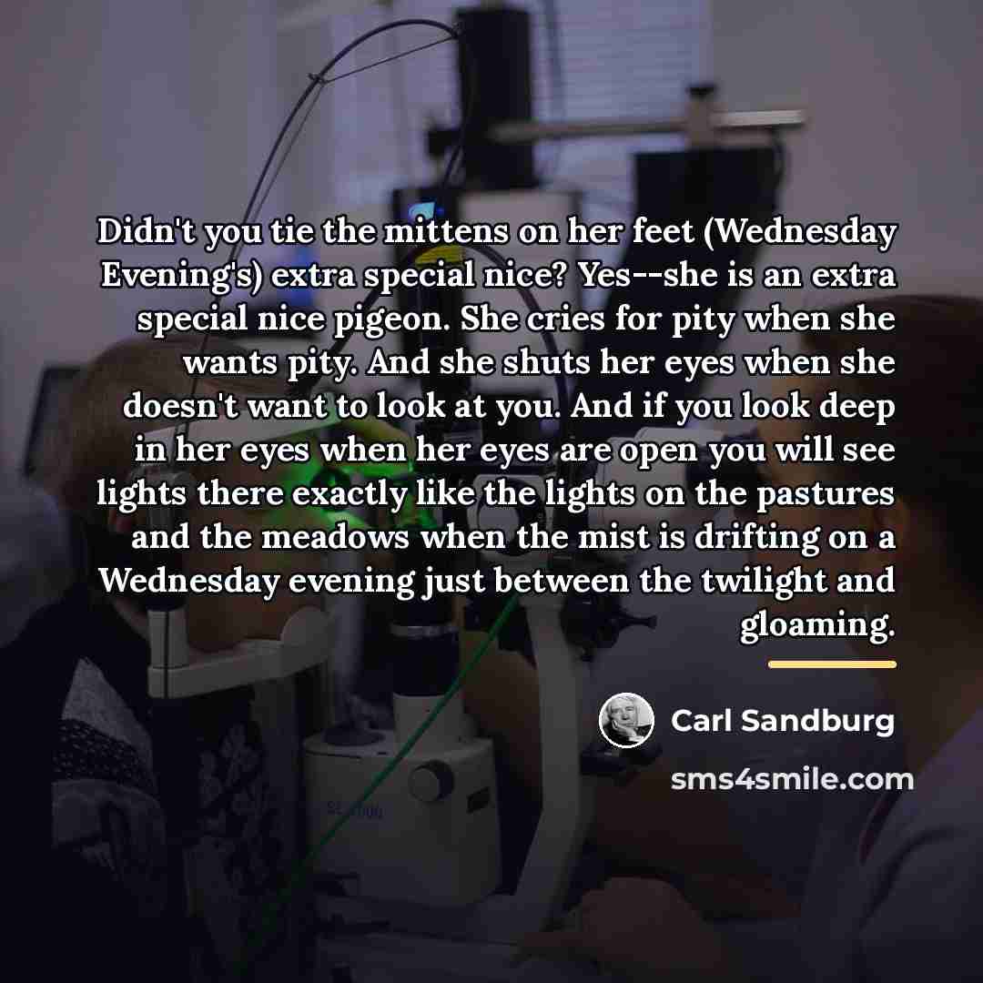 “Didn't you tie the mittens on her feet (Wednesday Evening's)…” quote by Carl Sandburg