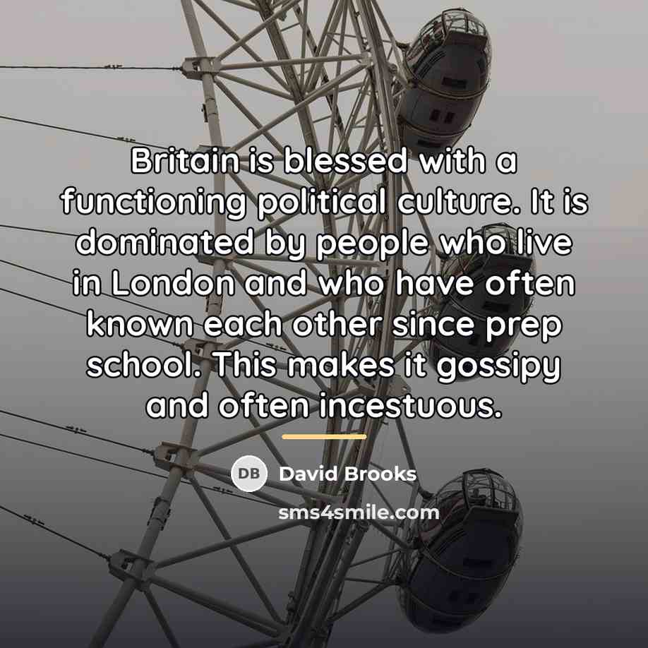 “Britain is blessed with a functioning political culture. It is…” quote by David Brooks
