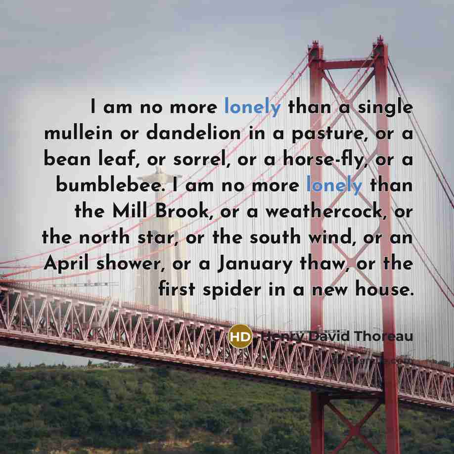 “I am no more lonely than a single mullein or…” quote by Henry David Thoreau