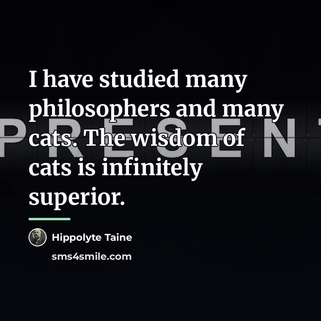 “I have studied many philosophers and many cats. The wisdom…” quote by Hippolyte Taine