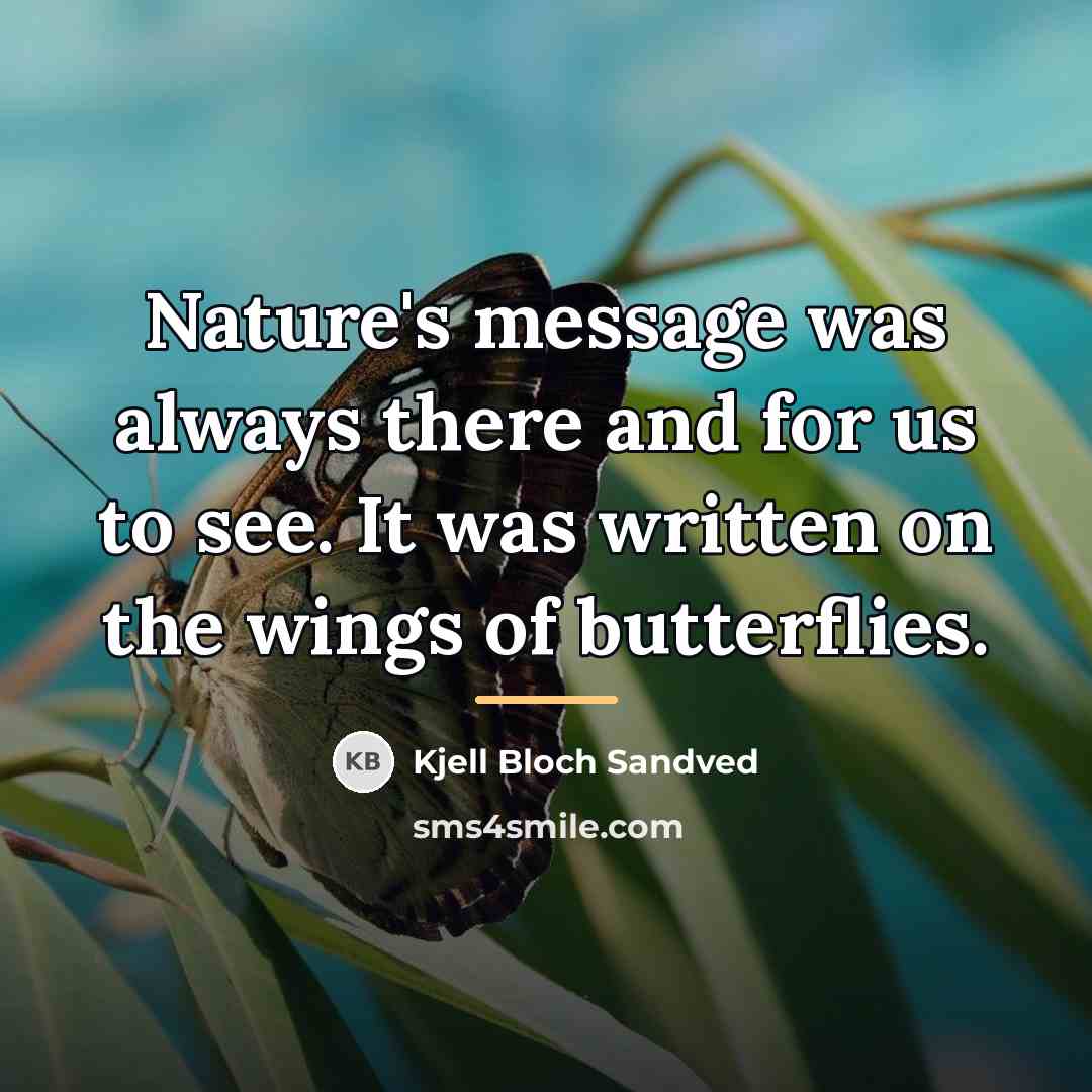 “Nature's message was always there and for us to see.…” quote by Kjell Bloch Sandved