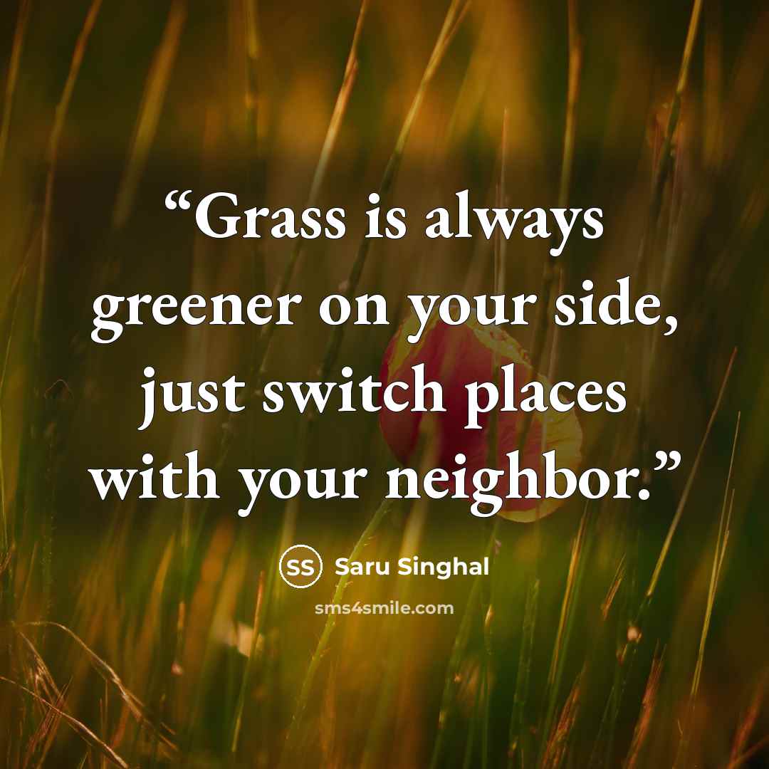 “Grass is always greener on your side, just switch places with your neighbor.” quote by Saru Singhal
