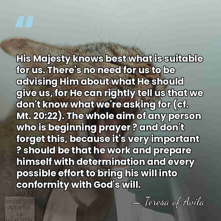 His Majesty knows best what is suitable for us. There's no need&hellip; - Teresa of Avila