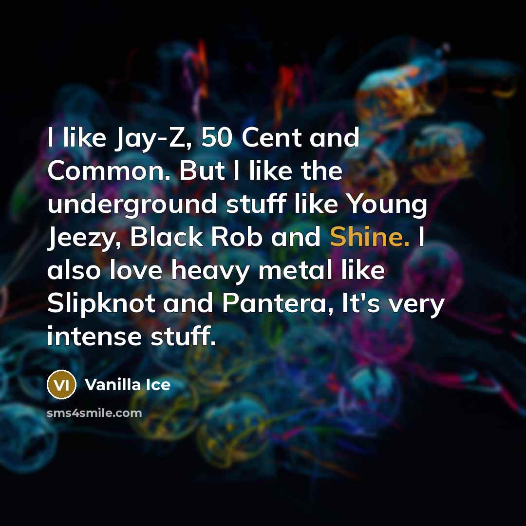 “I like Jay-Z, 50 Cent and Common. But I like…” quote by Vanilla Ice