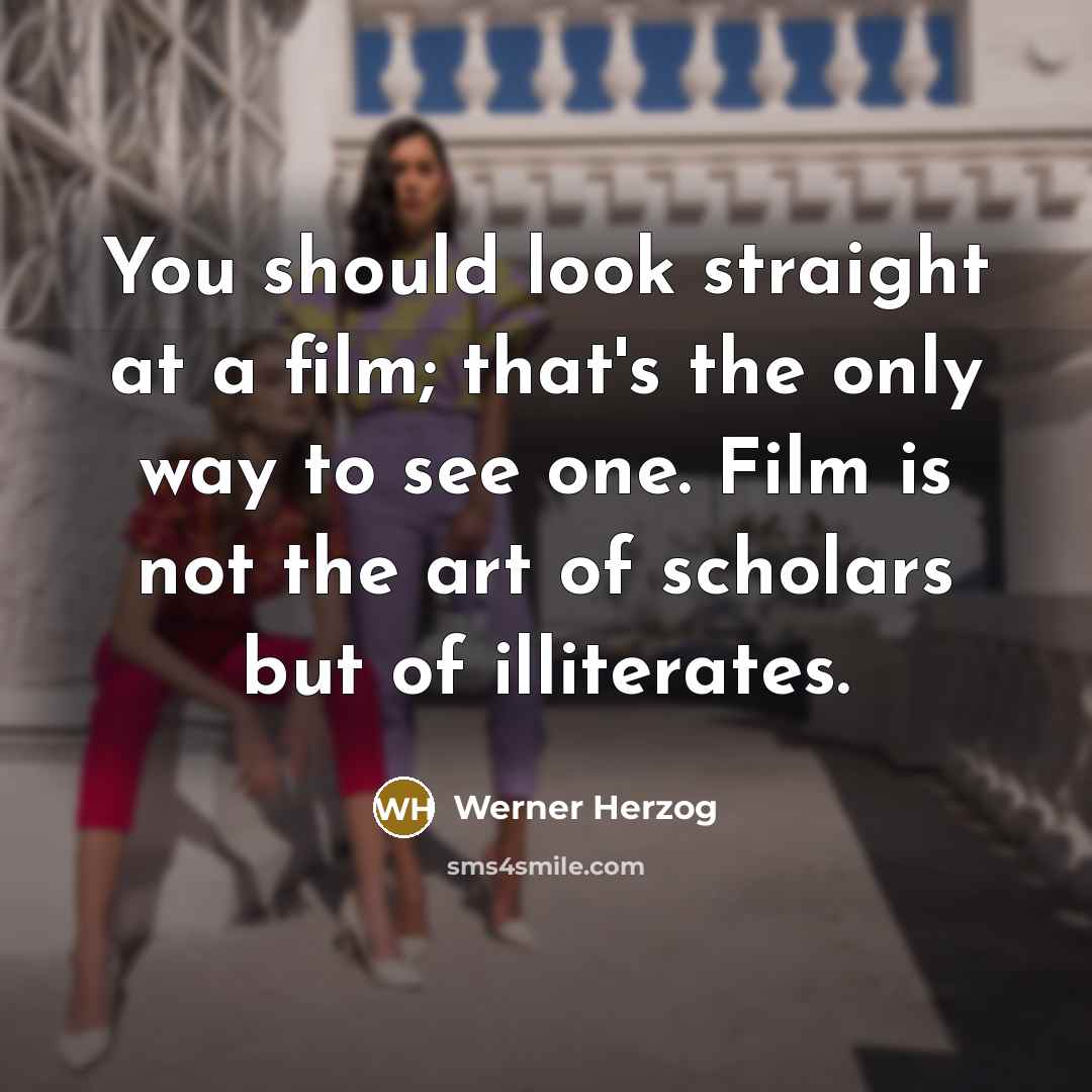 “You should look straight at a film; that's the only…” quote by Werner Herzog