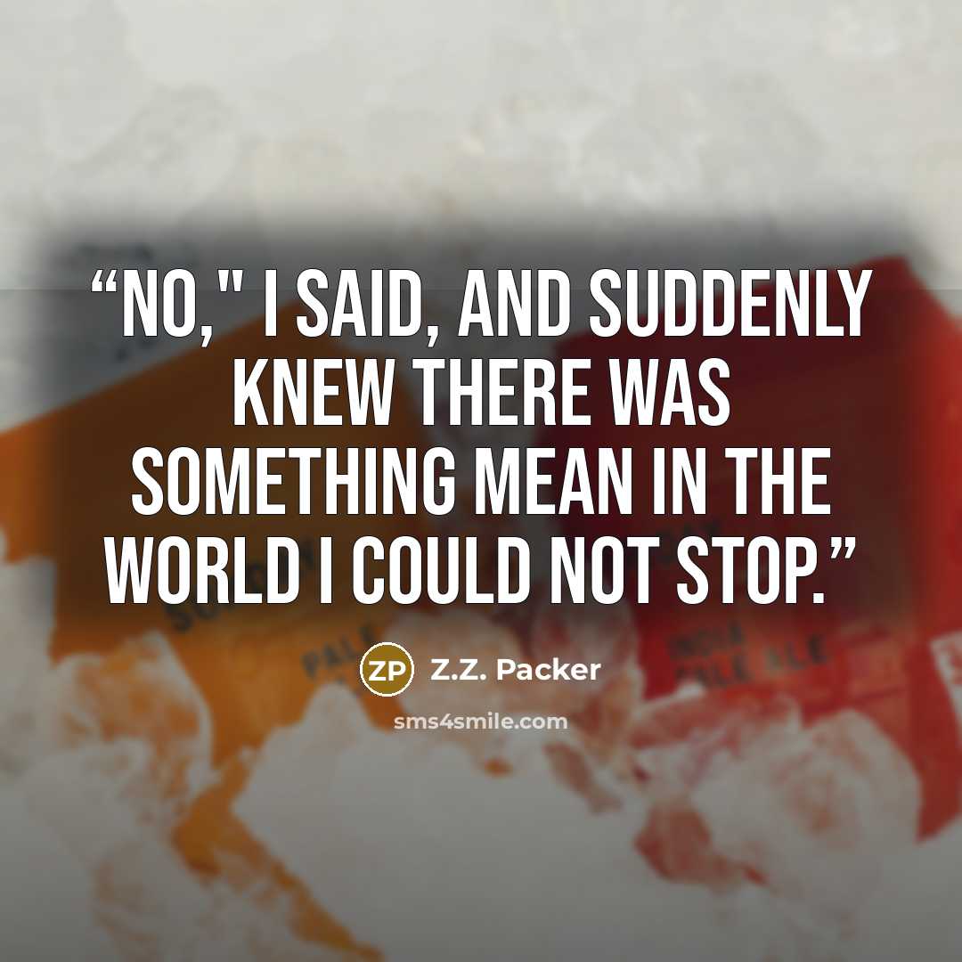 “No," I said, and suddenly knew there was something mean in the world I could not stop.” quote by Z.Z. Packer