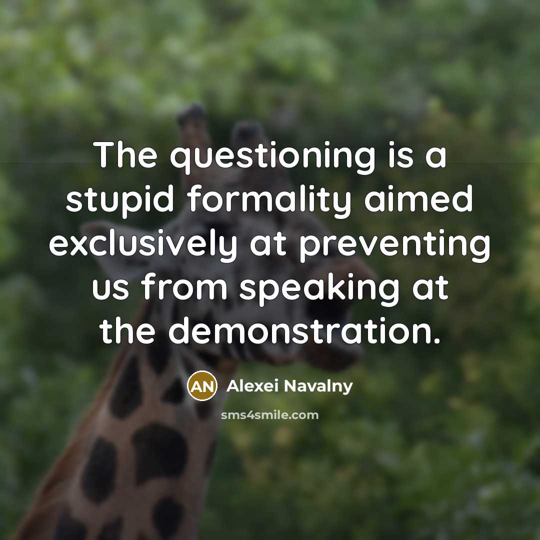 “The questioning is a stupid formality aimed exclusively at preventing…” quote by Alexei Navalny