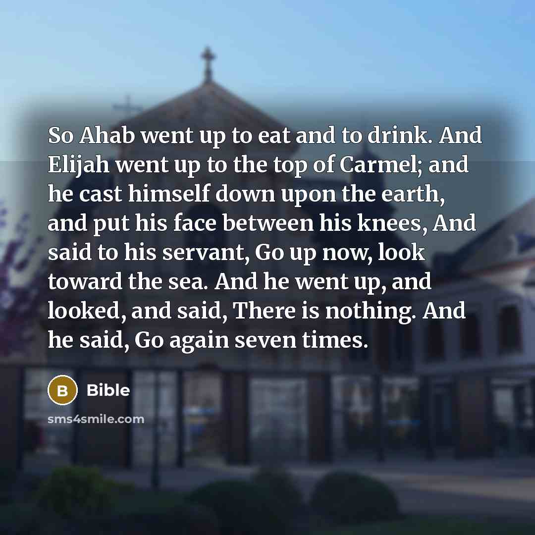 “So Ahab went up to eat and to drink. And Elijah went up to the top of Carmel; and he cast himself down upon the earth, and put his face between his knees, And said to his servant, Go up now, look toward the sea. And he went up, and looked, and said, There is nothing. And he said, Go again seven…” quote by Bible