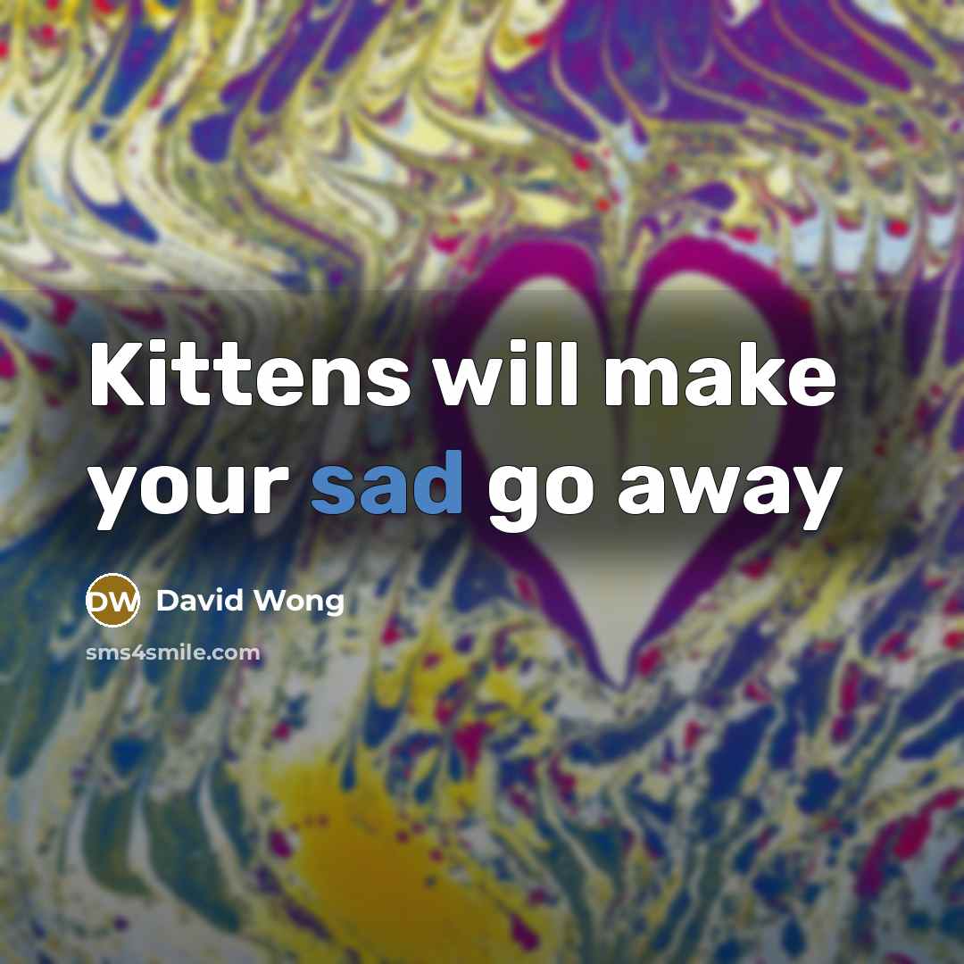 “Kittens will make your sad go away…” quote by David Wong
