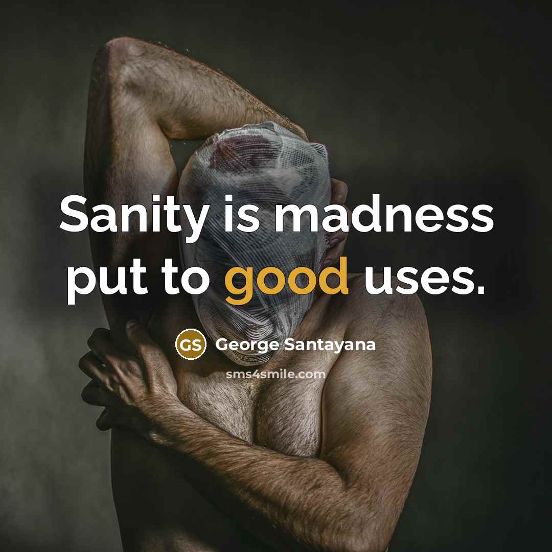 “Sanity is madness put to good uses.” quote by George Santayana