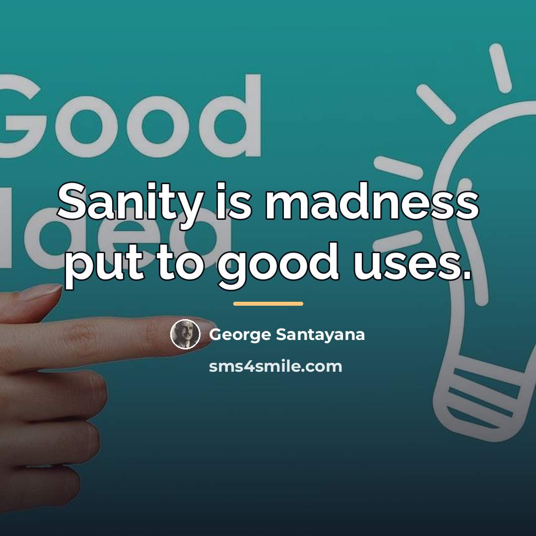 “Sanity is madness put to good uses.…” quote by George Santayana