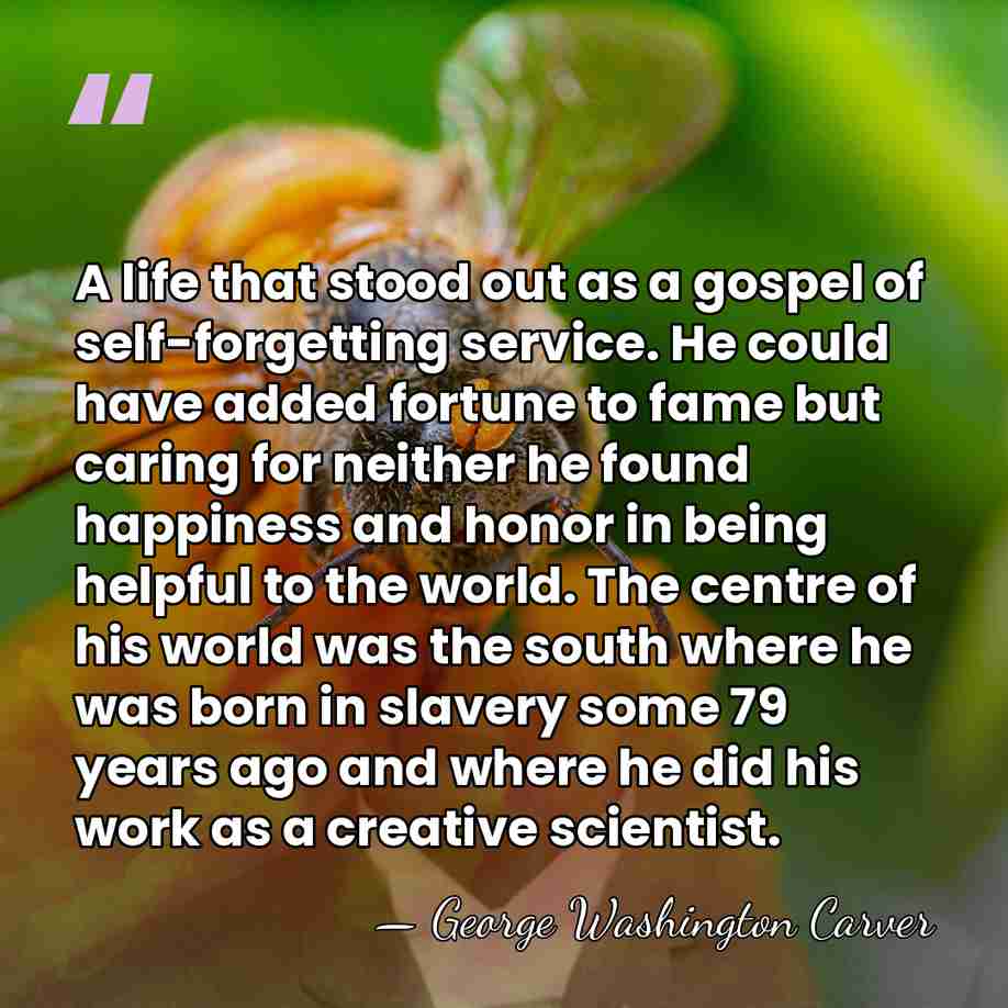 A life that stood out as a gospel of self-forgetting service. He&hellip; - George Washington Carver
