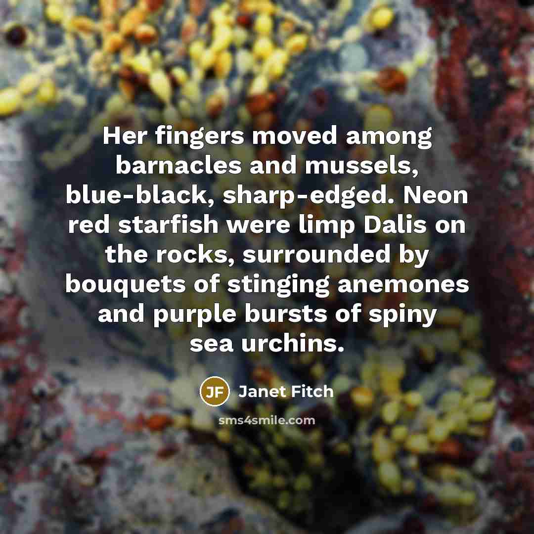 “Her fingers moved among barnacles and mussels, blue-black, sharp-edged. Neon…” quote by Janet Fitch