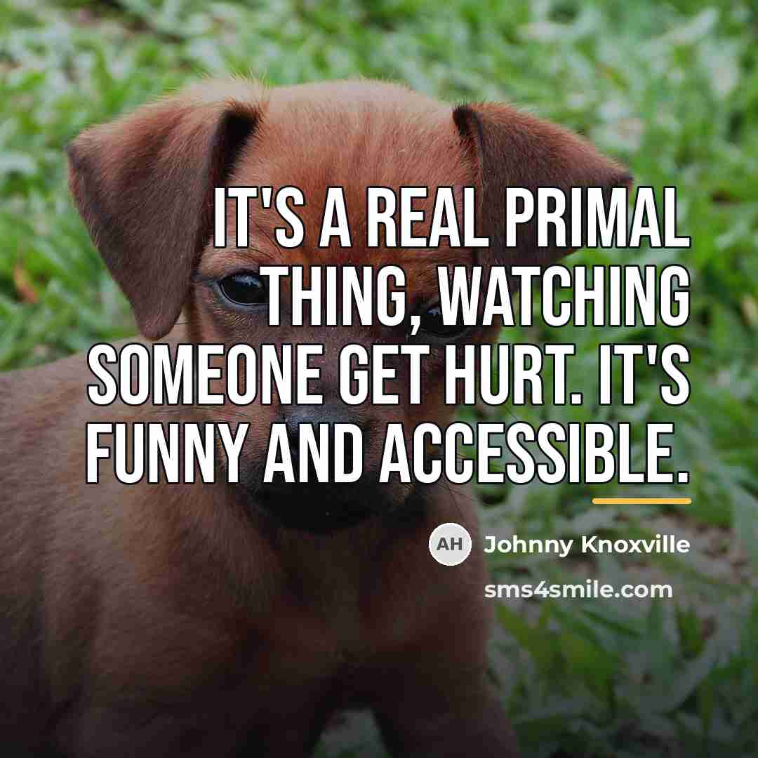 “It's a real primal thing, watching someone get hurt. It's…” quote by Johnny Knoxville