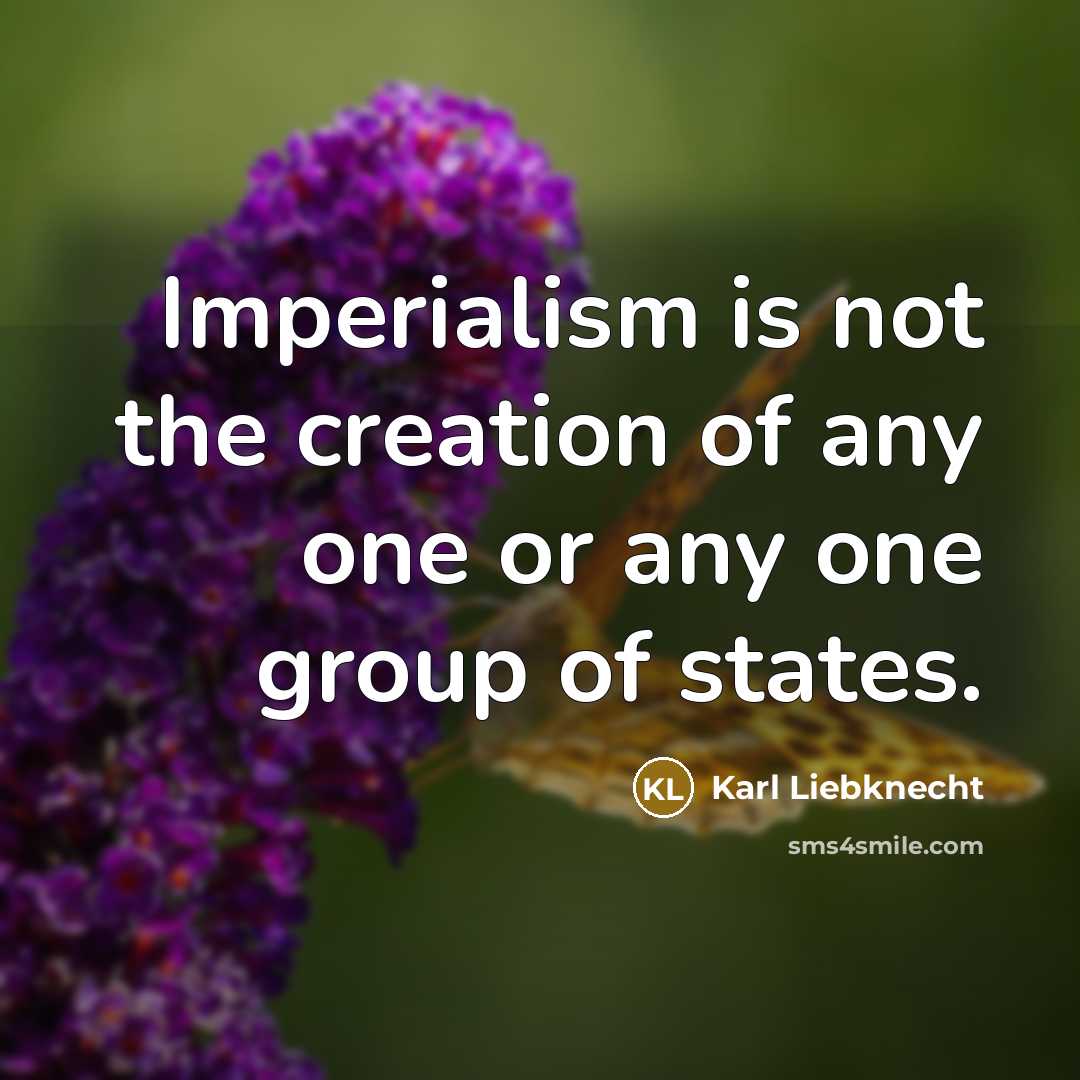 “Imperialism is not the creation of any one or any…” quote by Karl Liebknecht