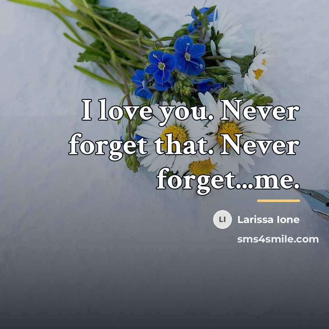 “I love you. Never forget that. Never forget...me.…” quote by Larissa Ione