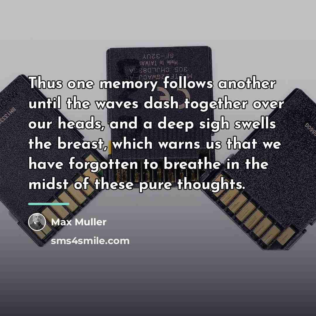 “Thus one memory follows another until the waves dash together…” quote by Max Muller