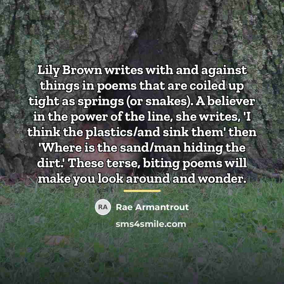 “Lily Brown writes with and against things in poems that…” quote by Rae Armantrout