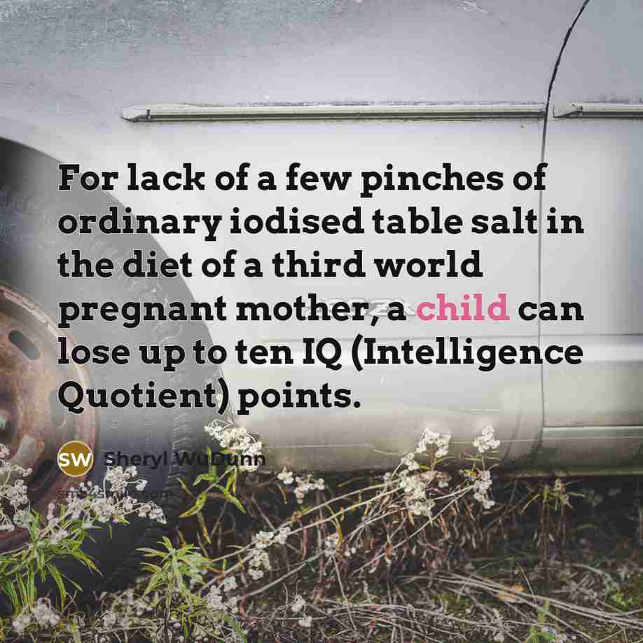 “For lack of a few pinches of ordinary iodised table…” quote by Sheryl WuDunn
