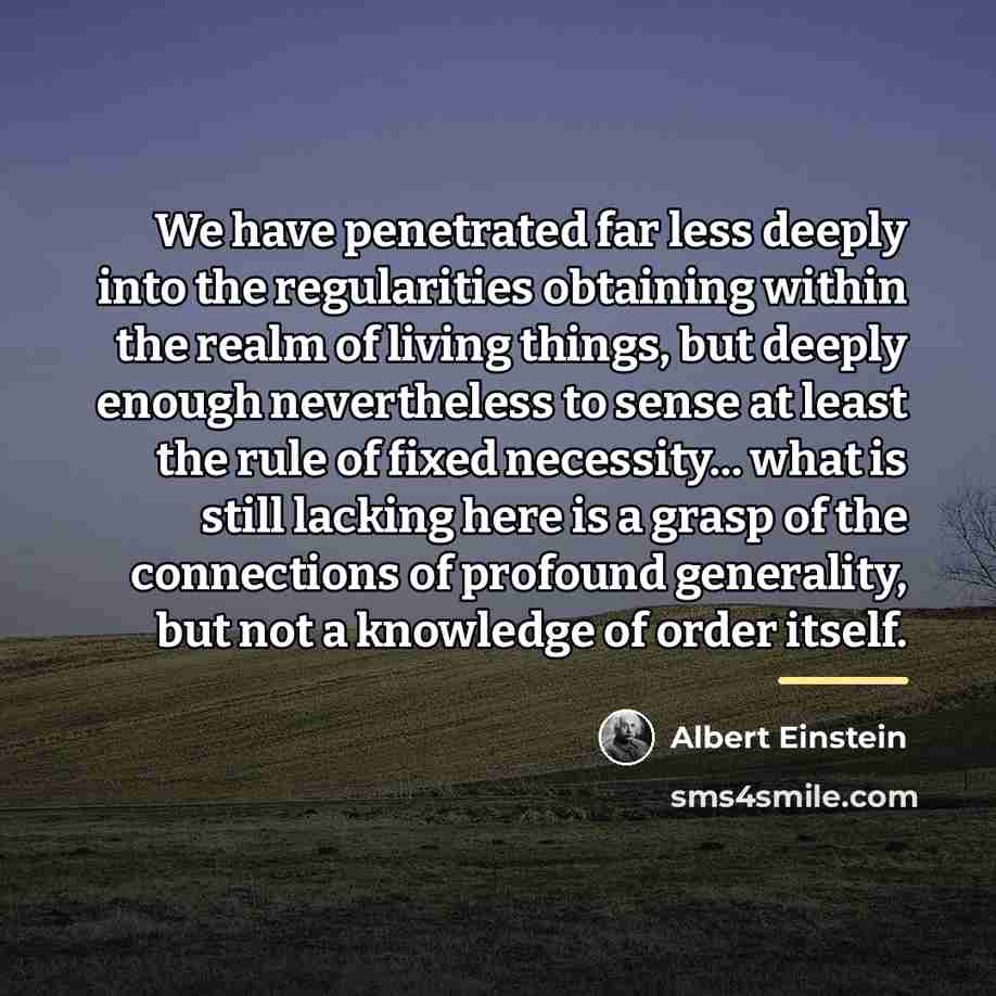 “We have penetrated far less deeply into the regularities obtaining…” quote by Albert Einstein