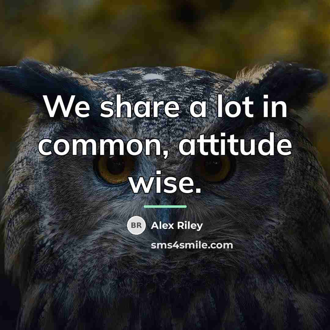 “We share a lot in common, attitude wise.…” quote by Alex Riley