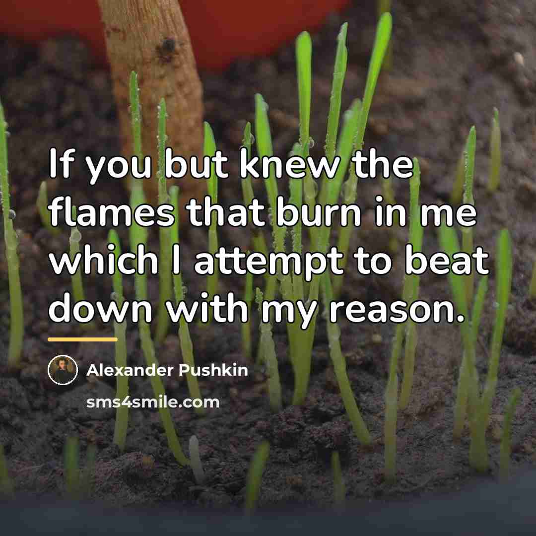 “If you but knew the flames that burn in me…” quote by Alexander Pushkin