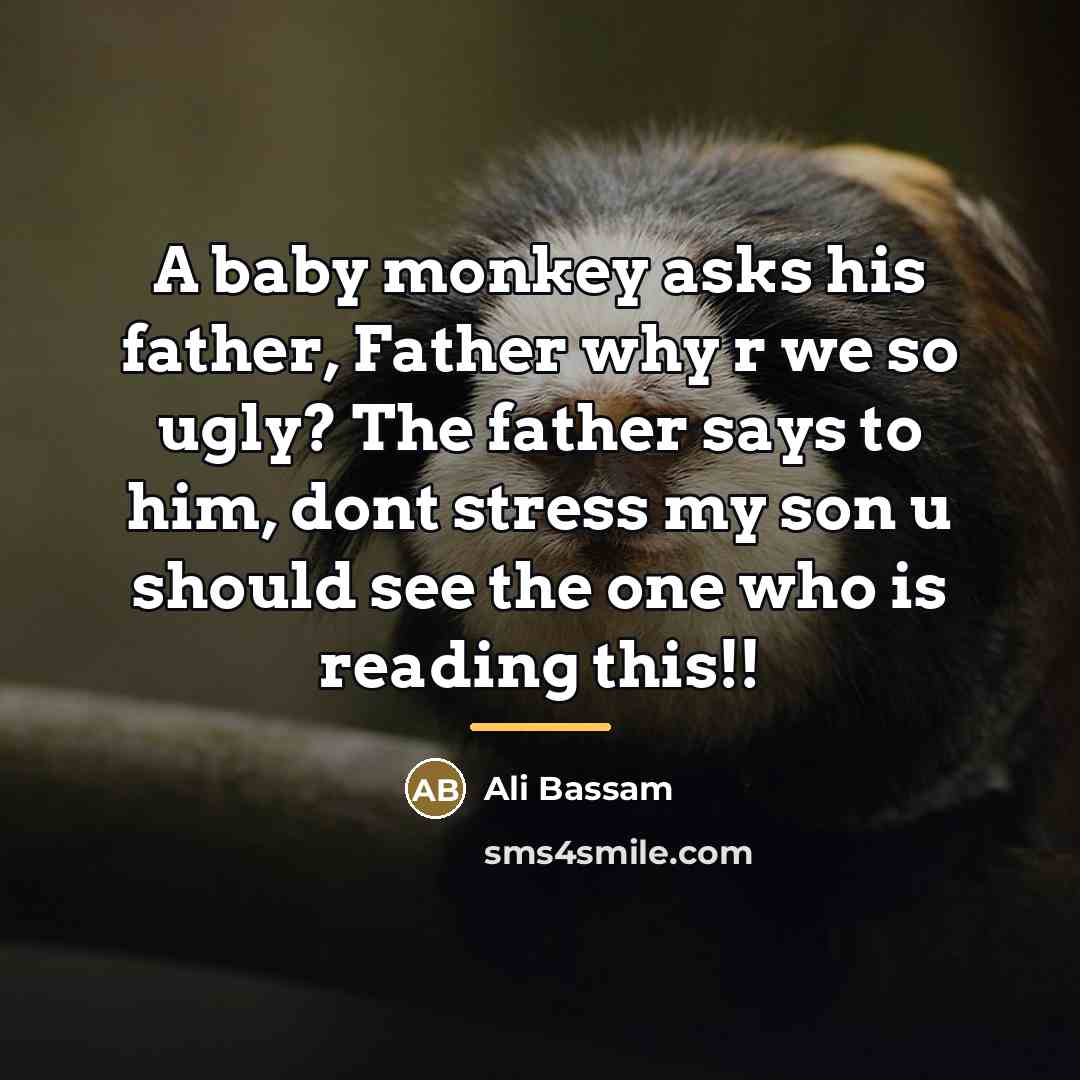 “A baby monkey asks his father, Father why r we…” quote by Ali Bassam