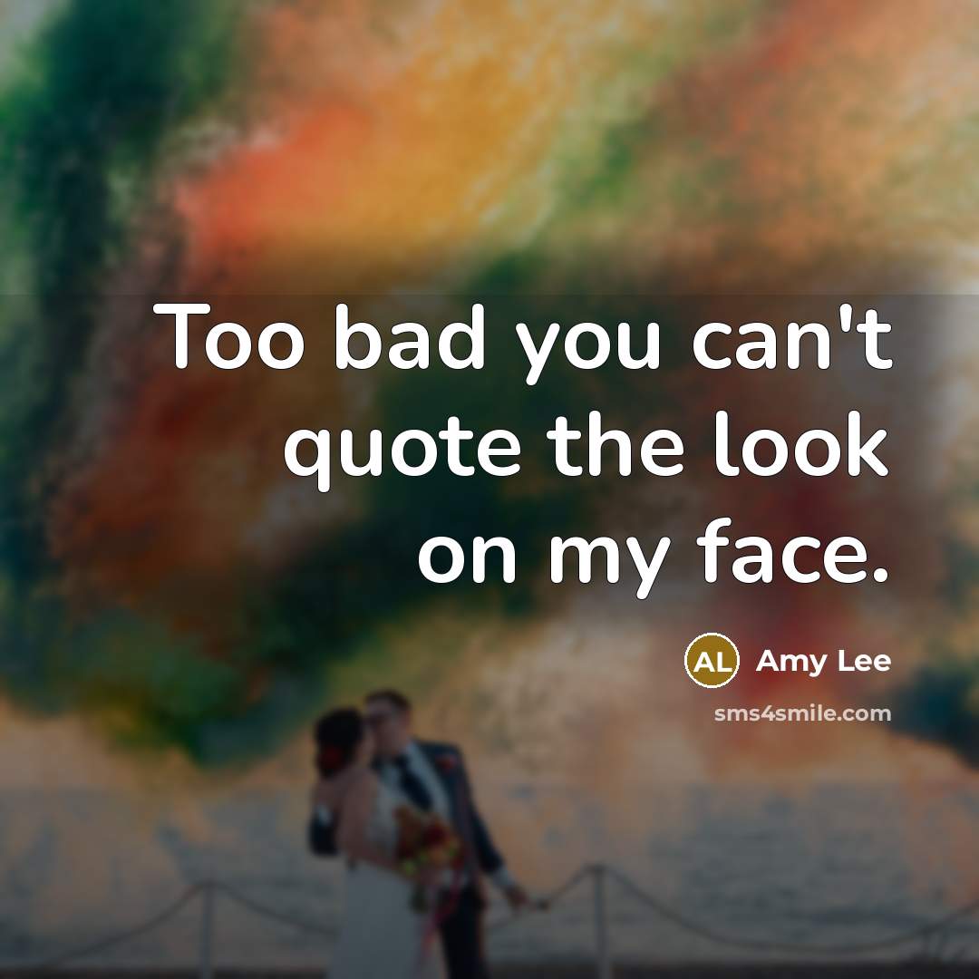 “Too bad you can't quote the look on my face.…” quote by Amy Lee