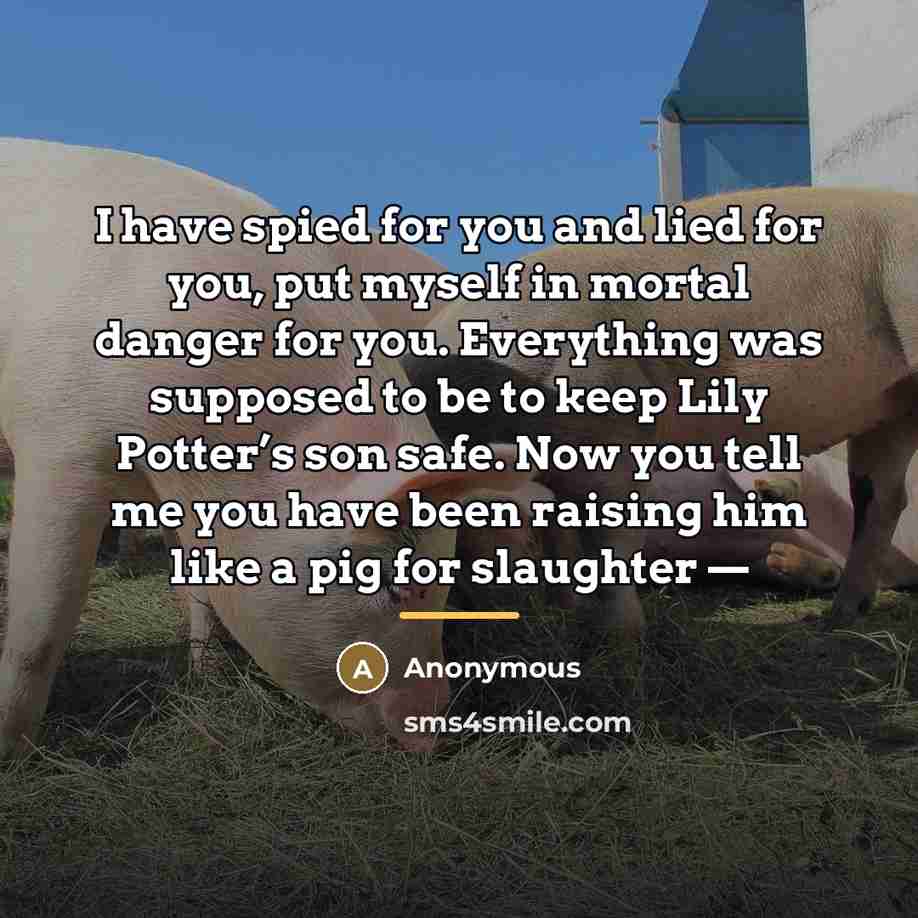 “I have spied for you and lied for you, put…” quote by Anonymous