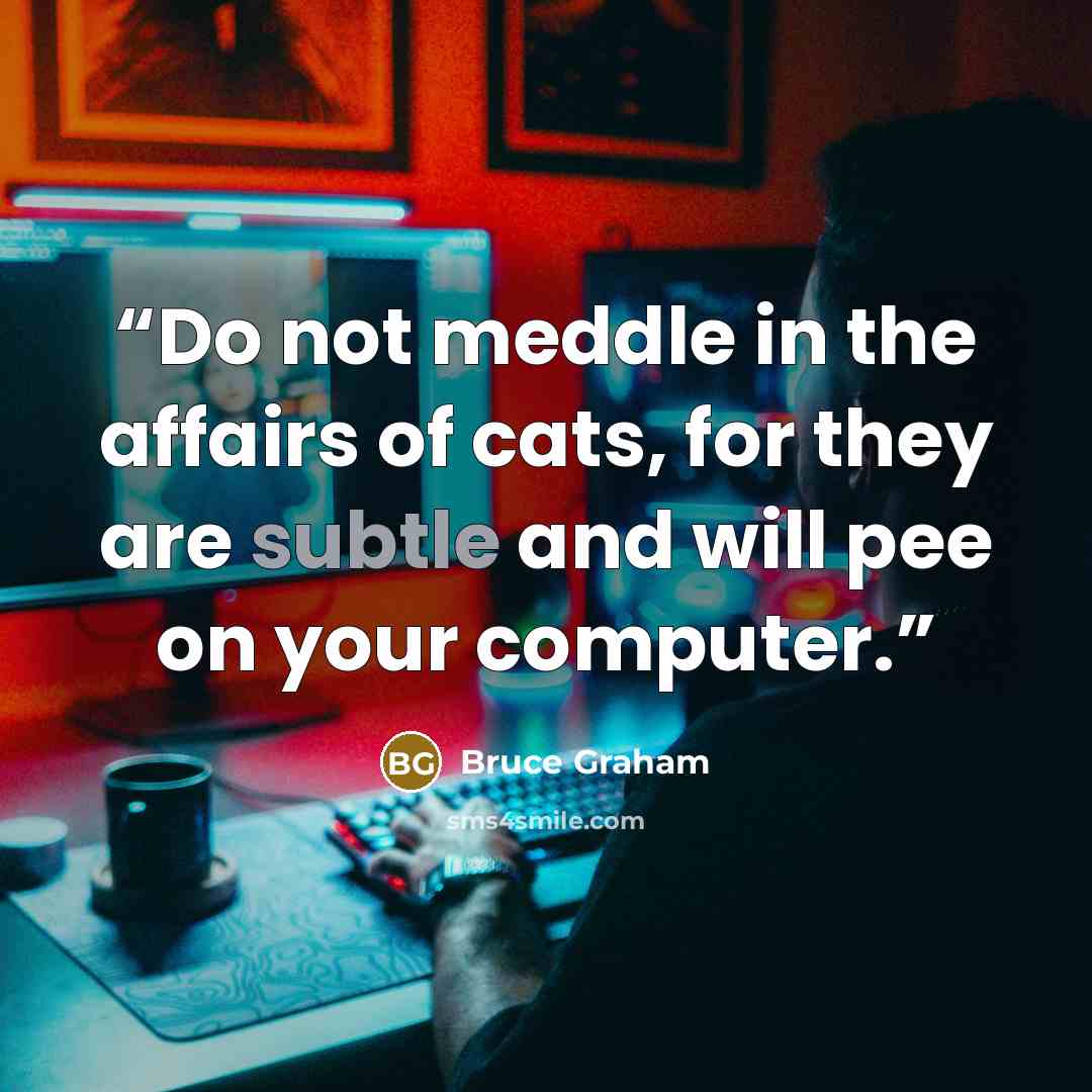 “Do not meddle in the affairs of cats, for they are subtle and will pee on your computer.” quote by Bruce Graham