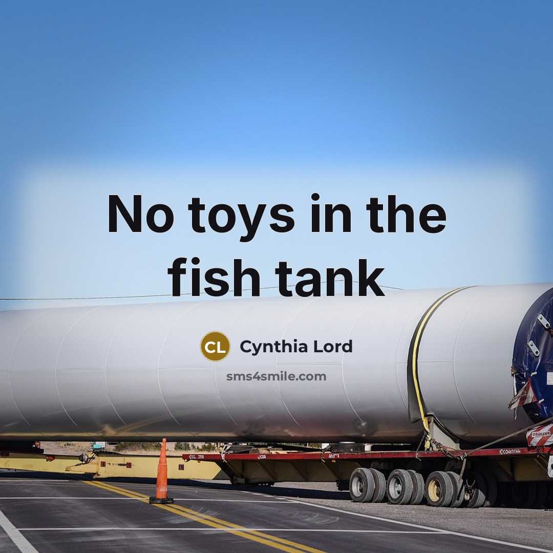 “No toys in the fish tank…” quote by Cynthia Lord
