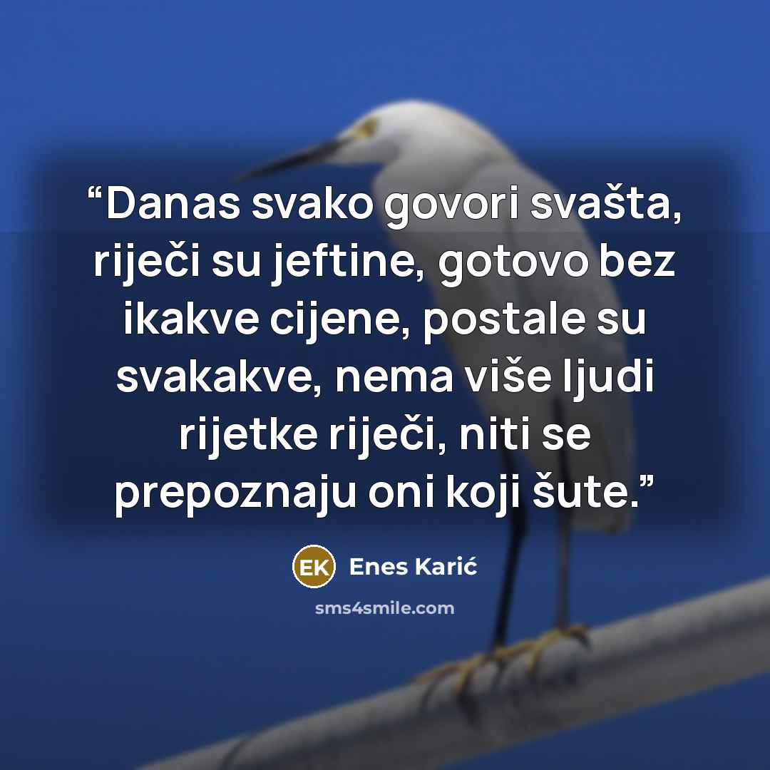 “Danas svako govori svašta, riječi su jeftine, gotovo bez ikakve cijene, postale su svakakve, nema više ljudi rijetke riječi, niti se prepoznaju oni koji šute.” quote by Enes Karić