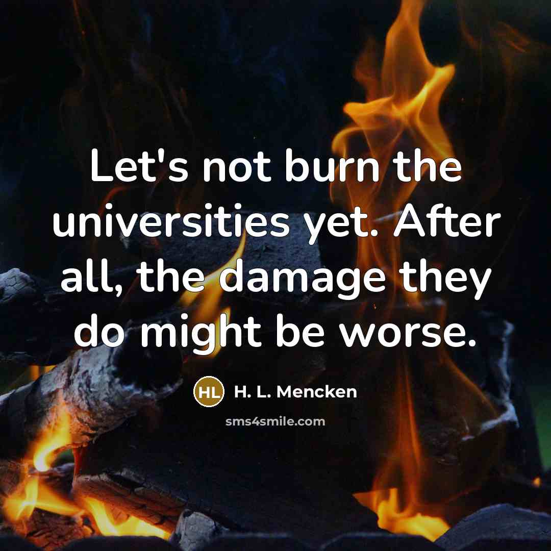 “Let's not burn the universities yet. After all, the damage…” quote by H. L. Mencken
