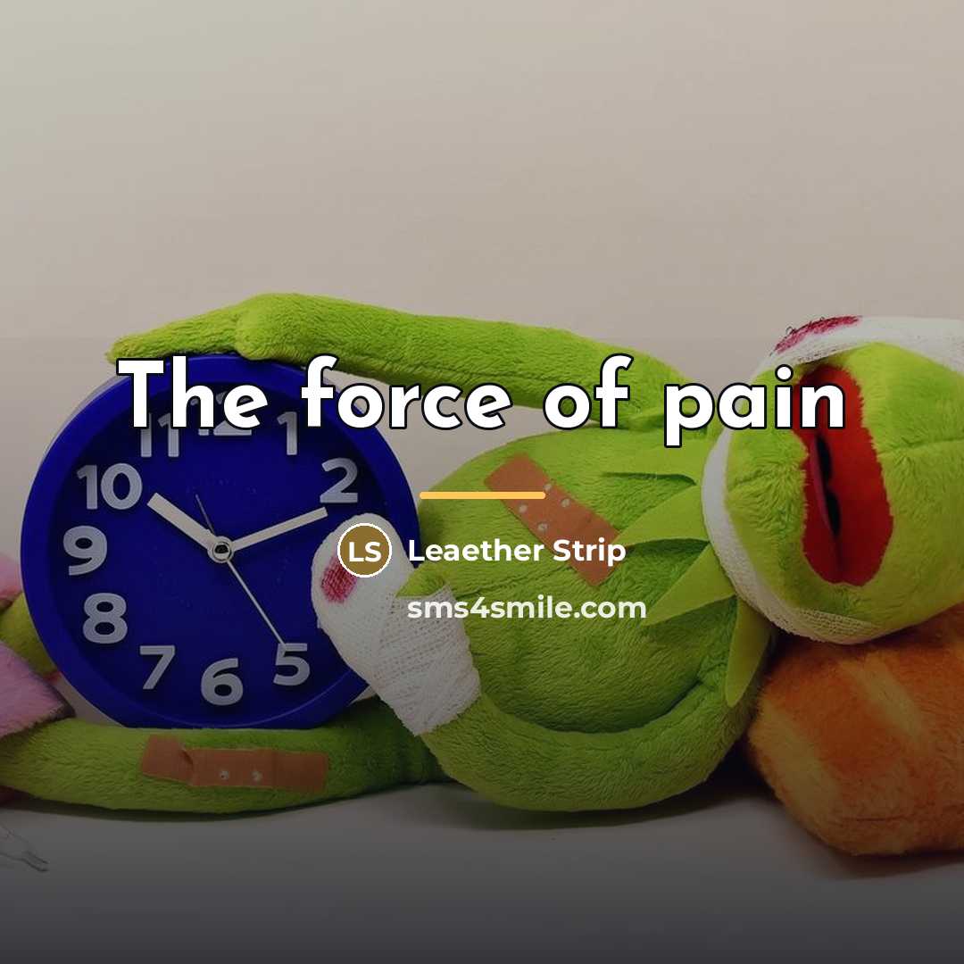 “The force of pain…” quote by Leaether Strip