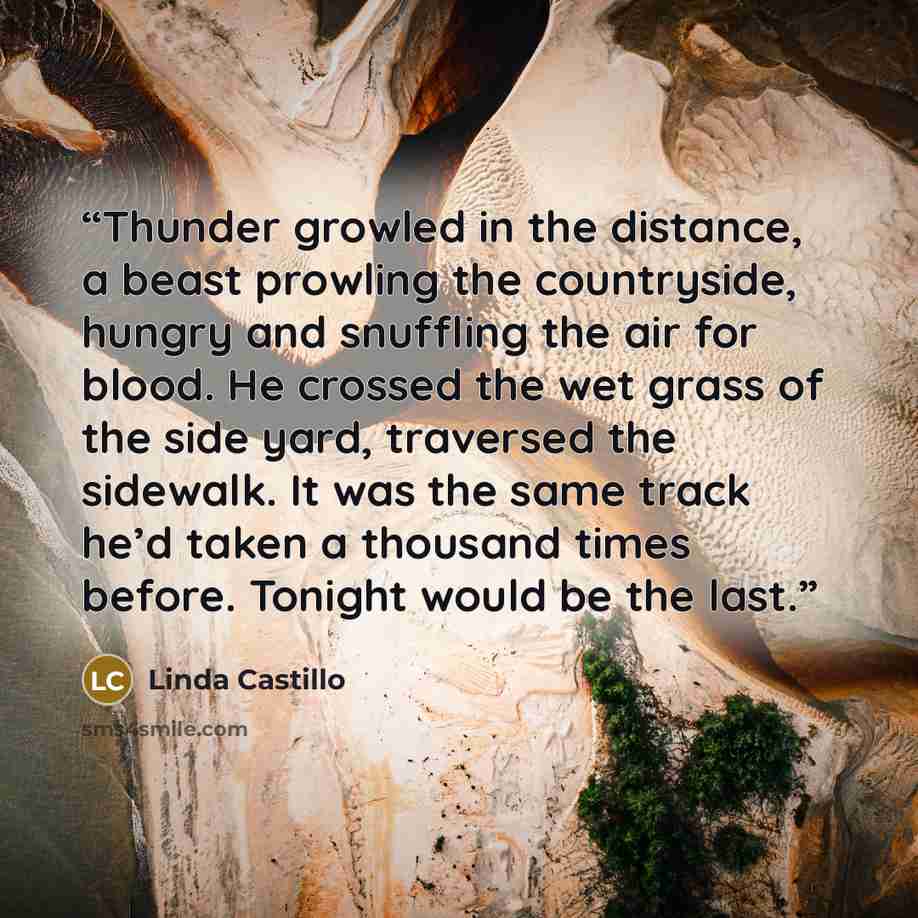 “Thunder growled in the distance, a beast prowling the countryside, hungry and snuffling the air for blood. He crossed the wet grass of the side yard, traversed the sidewalk. It was the same track he’d taken a thousand times before. Tonight would be the last.” quote by Linda Castillo