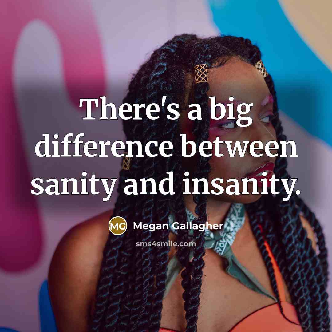 “There's a big difference between sanity and insanity.” quote by Megan Gallagher