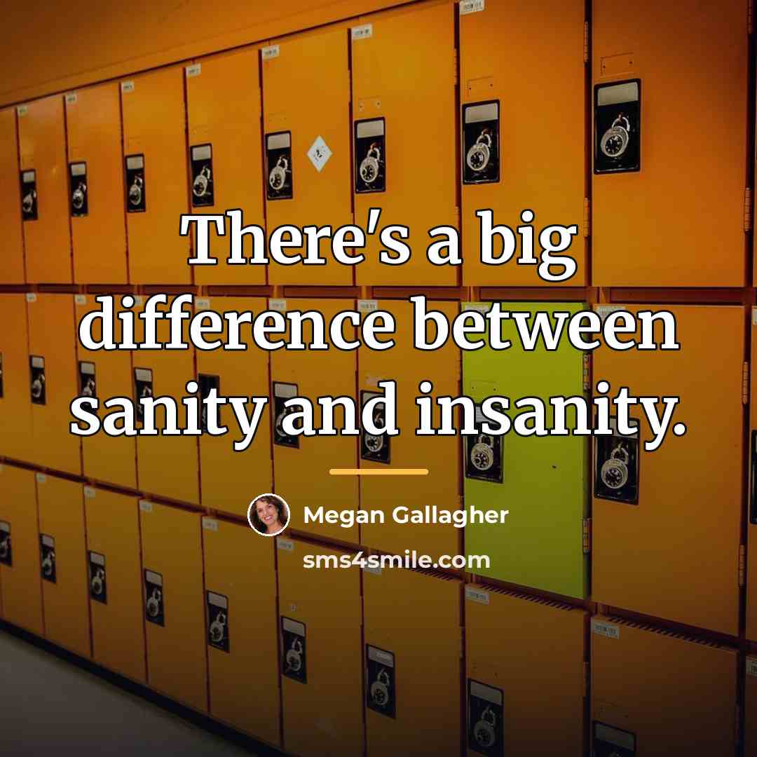 “There's a big difference between sanity and insanity.…” quote by Megan Gallagher